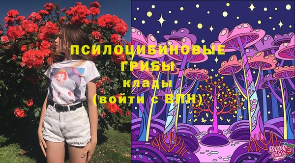 молекула духа Липки