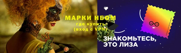 ECSTASY Алзамай