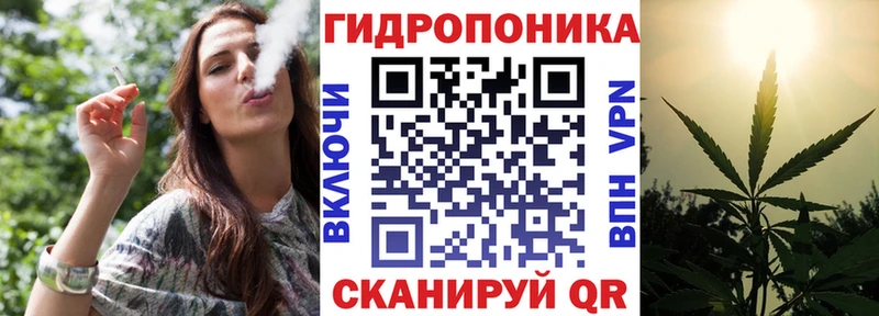 купить наркоту  даркнет телеграм  Марихуана MAZAR  Чухлома 